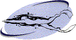 TLN-Logo